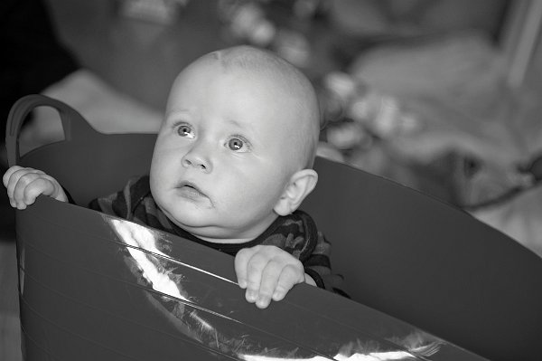 Gal_131805_0105 copy